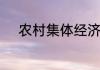 农村集体经济组织成员什么意思