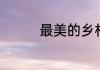 最美的乡村辛兰是谁演的
