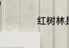 红树林是哪个站地铁