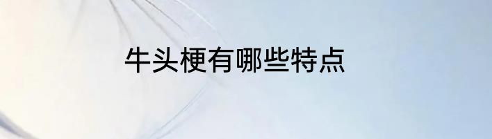 牛头梗有哪些特点