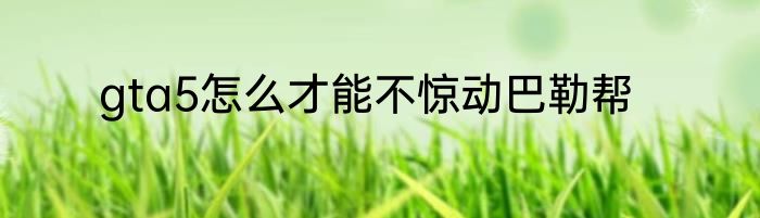 gta5怎么才能不惊动巴勒帮