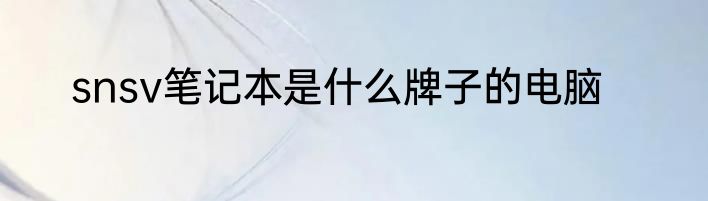 snsv笔记本是什么牌子的电脑