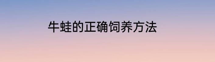 牛蛙的正确饲养方法