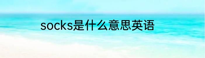 socks是什么意思英语