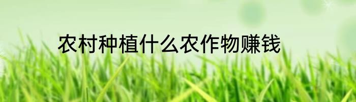 农村种植什么农作物赚钱