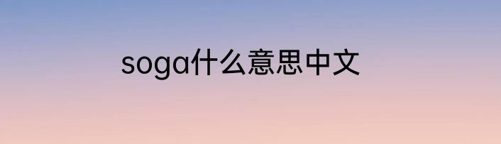 soga什么意思中文