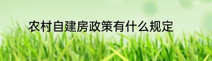 农村自建房政策有什么规定