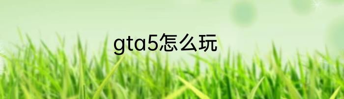 gta5怎么玩