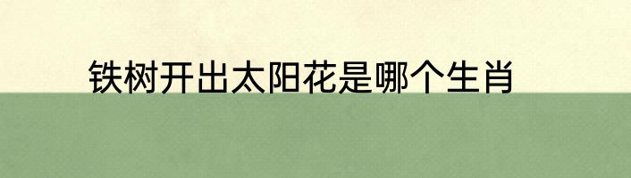 铁树开出太阳花是哪个生肖