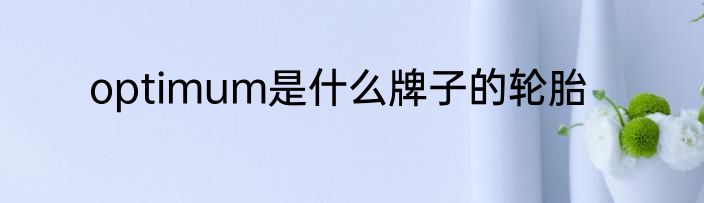 optimum是什么牌子的轮胎