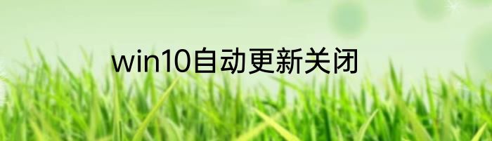 win10自动更新关闭