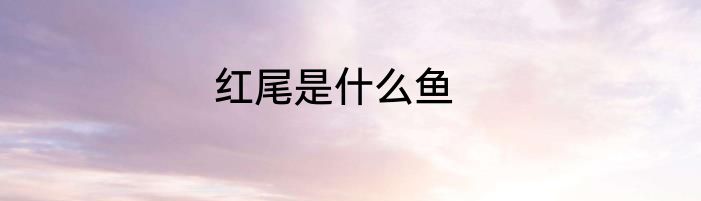 红尾是什么鱼