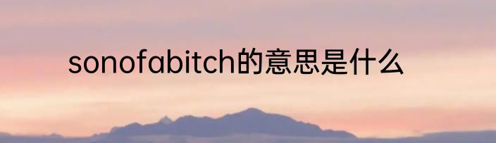 sonofabitch的意思是什么