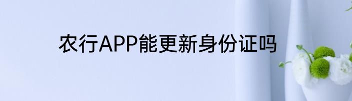 农行APP能更新身份证吗