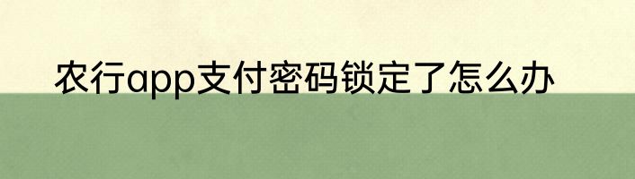 农行app支付密码锁定了怎么办