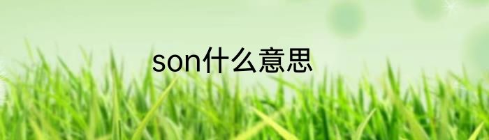 son什么意思