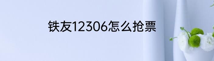 铁友12306怎么抢票