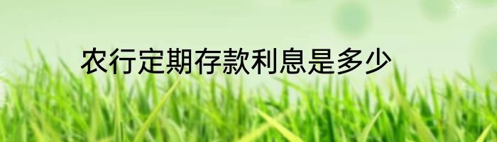 农行定期存款利息是多少