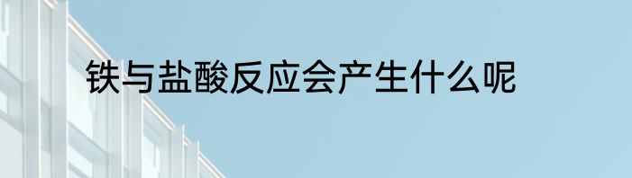铁与盐酸反应会产生什么呢