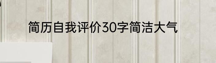 简历自我评价30字简洁大气