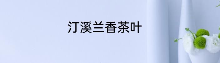 汀溪兰香茶叶