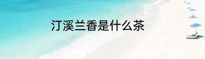 汀溪兰香是什么茶