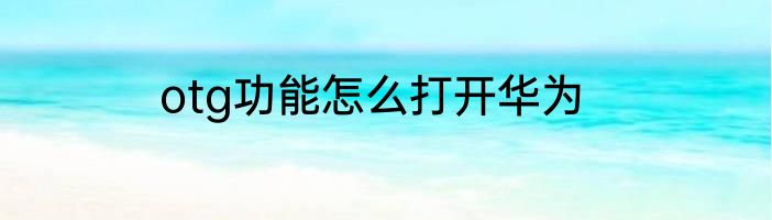 otg功能怎么打开华为