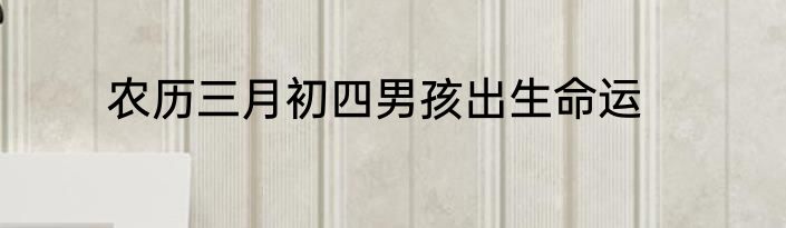 农历三月初四男孩出生命运