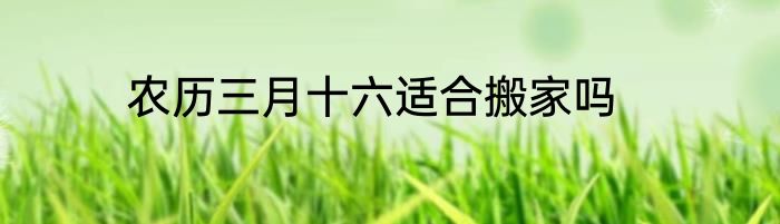 农历三月十六适合搬家吗