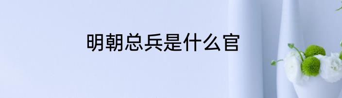明朝总兵是什么官