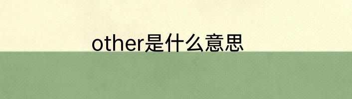 other是什么意思