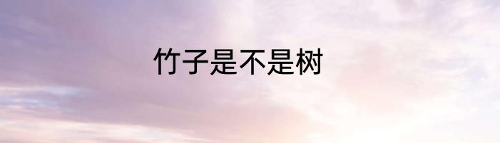 竹子是不是树