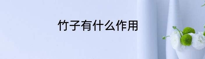 竹子有什么作用
