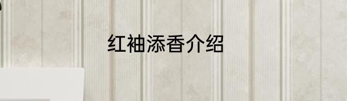 红袖添香介绍