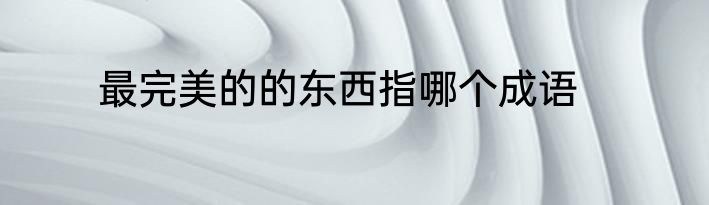 最完美的的东西指哪个成语