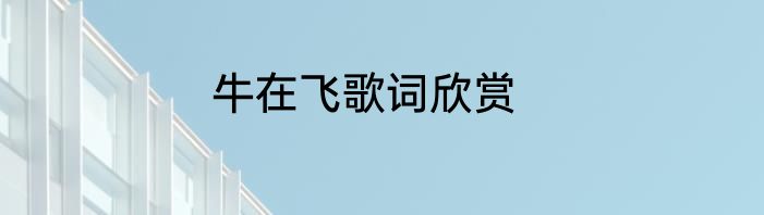 牛在飞歌词欣赏