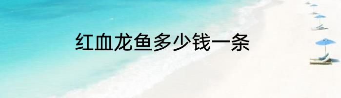 红血龙鱼多少钱一条