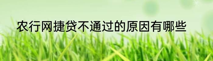 农行网捷贷不通过的原因有哪些
