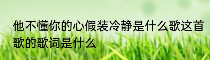 他不懂你的心假装冷静是什么歌这首歌的歌词是什么