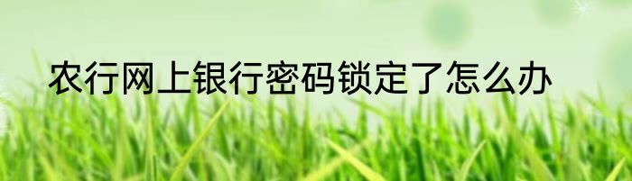 农行网上银行密码锁定了怎么办