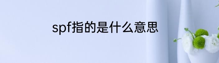 spf指的是什么意思
