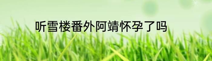听雪楼番外阿靖怀孕了吗