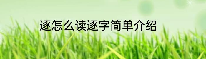逐怎么读逐字简单介绍