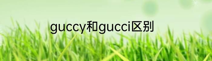 guccy和gucci区别