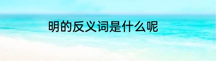 明的反义词是什么呢