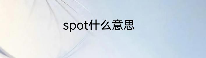 spot什么意思