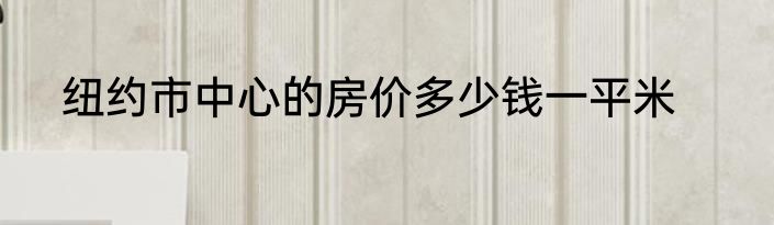 纽约市中心的房价多少钱一平米