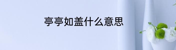 亭亭如盖什么意思