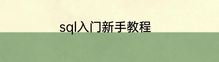 sql入门新手教程