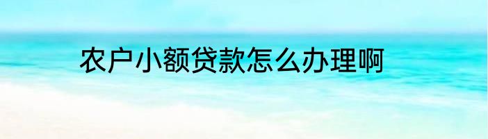 农户小额贷款怎么办理啊